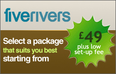 SEO Packages